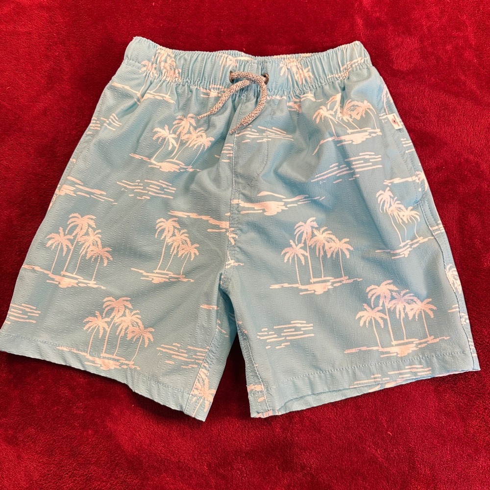 Vintage Summer Boys Blue Seersucker Palm Tree Swim Trunks Size 12 V84509